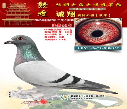 敦煌诚翔决赛41名