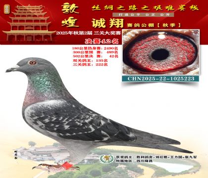 敦煌诚翔决赛42名