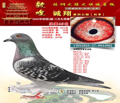 敦煌诚翔决赛43名