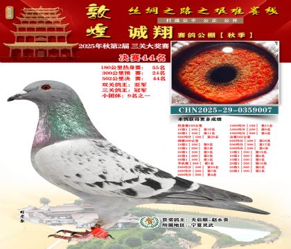 敦煌诚翔决赛44名(三关鸽王冠军)