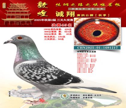 敦煌诚翔决赛45名