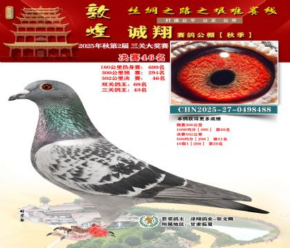 敦煌诚翔决赛46名