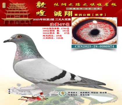 敦煌诚翔决赛47名