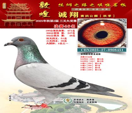 敦煌诚翔决赛48名