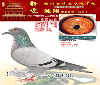 敦煌诚翔决赛49名