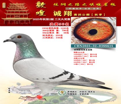 敦煌诚翔决赛50名