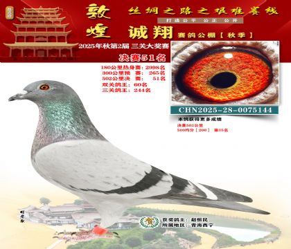 敦煌诚翔决赛51名