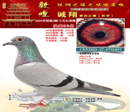 敦煌诚翔决赛52名