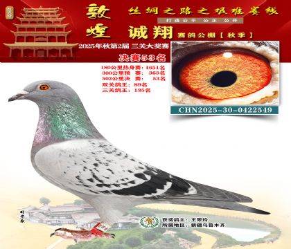 敦煌诚翔决赛53名