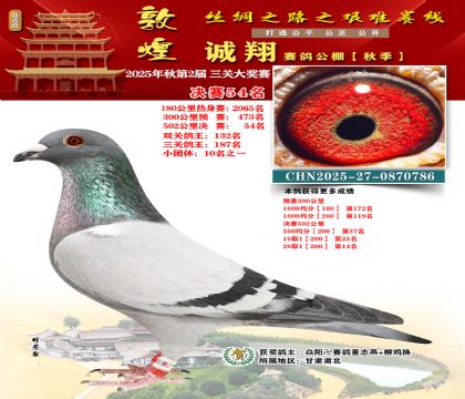 敦煌诚翔决赛54名