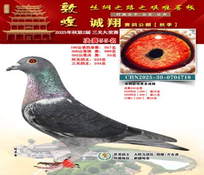 敦煌诚翔决赛55名