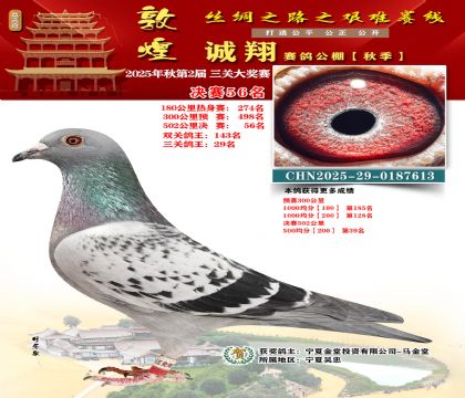 敦煌诚翔决赛56名