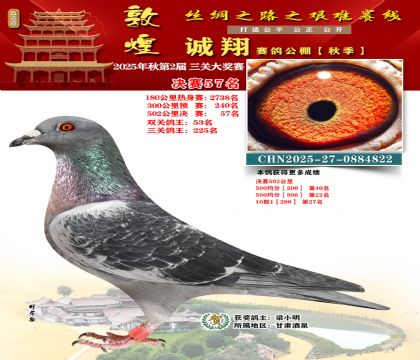 敦煌诚翔决赛57名