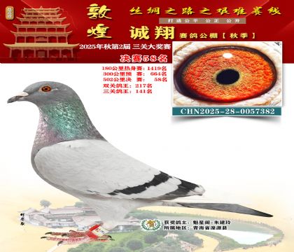 敦煌诚翔决赛58名