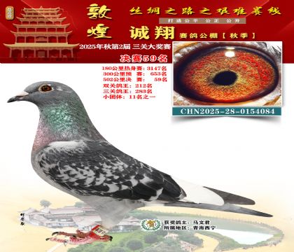 敦煌诚翔决赛59名