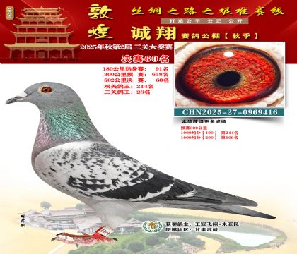 敦煌诚翔决赛60名