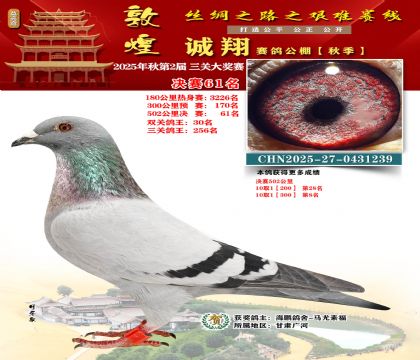 敦煌诚翔决赛61名