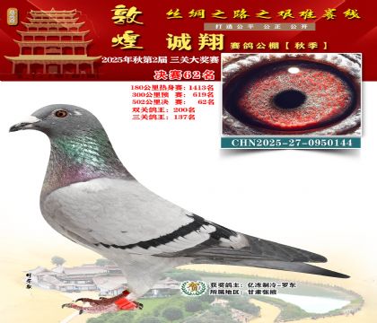 敦煌诚翔决赛62名