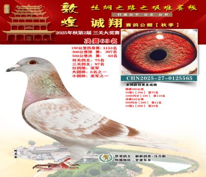 敦煌诚翔决赛63名