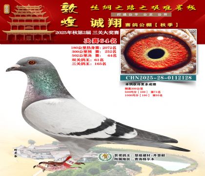 敦煌诚翔决赛64名