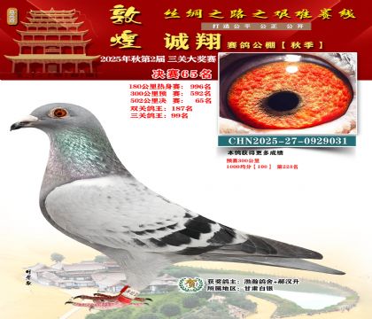 敦煌诚翔决赛65名