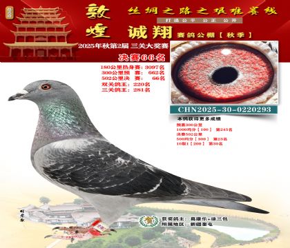 敦煌诚翔决赛66名