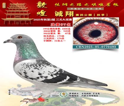 敦煌诚翔决赛67名