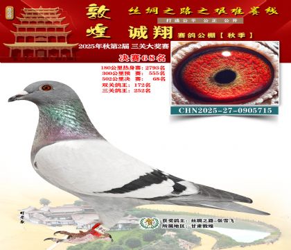 敦煌诚翔决赛68名