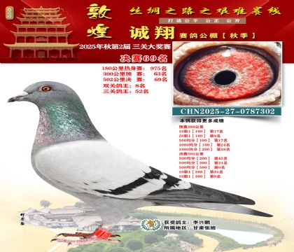 敦煌诚翔决赛69名