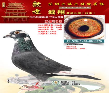 敦煌诚翔决赛70名