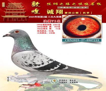 敦煌诚翔决赛71名