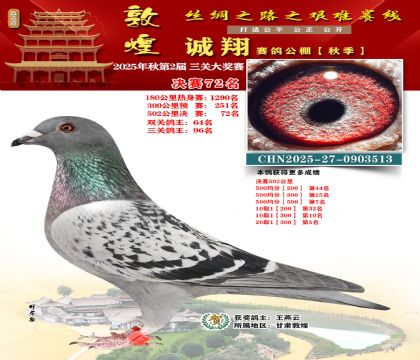 敦煌诚翔决赛72名