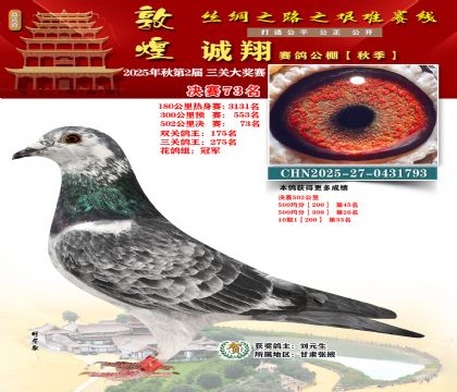 敦煌诚翔决赛73名