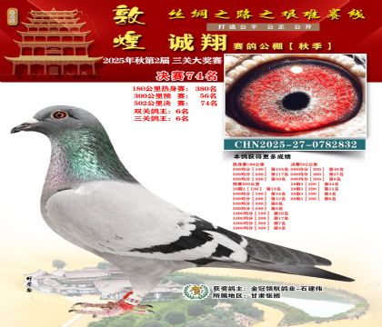 敦煌诚翔决赛74名(三关鸽王6名)