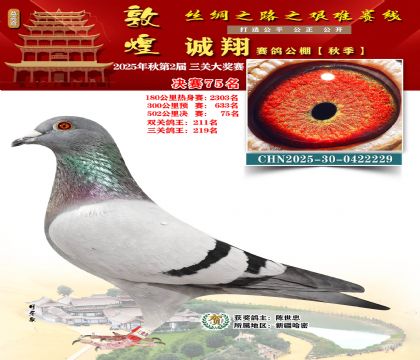 敦煌诚翔决赛75名