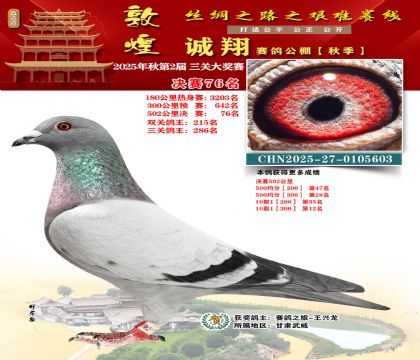 敦煌诚翔决赛76名