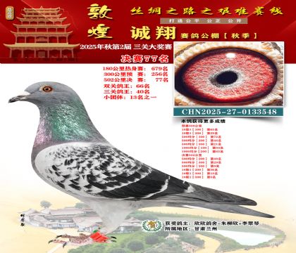 敦煌诚翔决赛77名