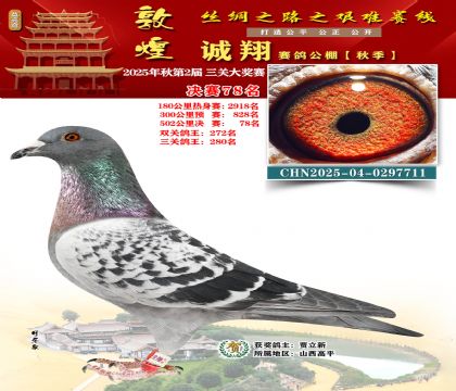 敦煌诚翔决赛78名