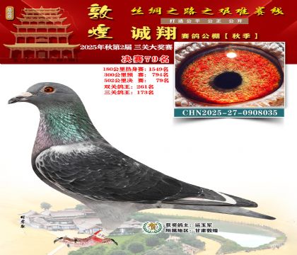 敦煌诚翔决赛79名