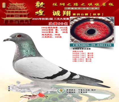 敦煌诚翔决赛80名