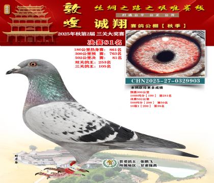 敦煌诚翔决赛81名