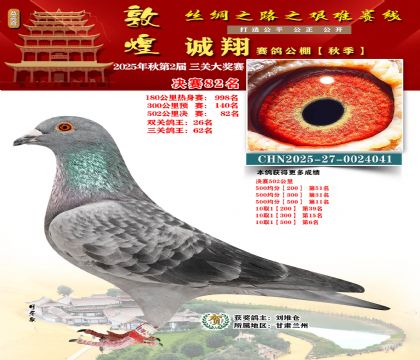 敦煌诚翔决赛82名