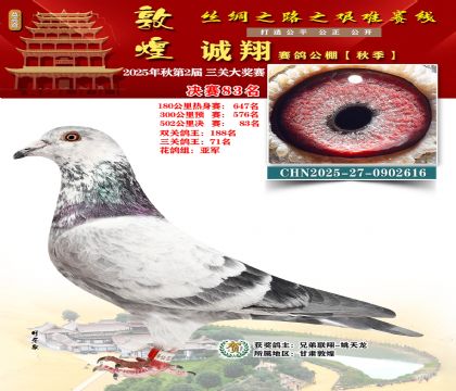 敦煌诚翔决赛83名