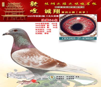 敦煌诚翔决赛84名