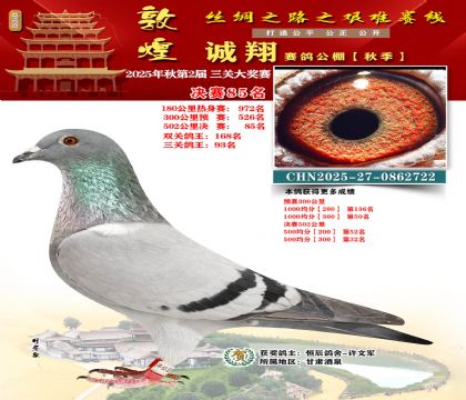 敦煌诚翔决赛85名