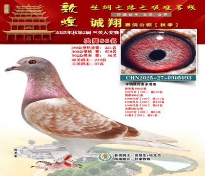 敦煌诚翔决赛86名