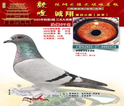 敦煌诚翔决赛87名