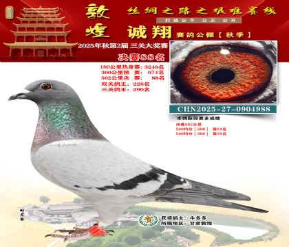 敦煌诚翔决赛88名