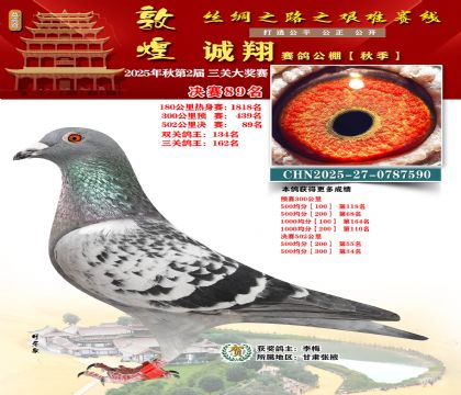 敦煌诚翔决赛89名