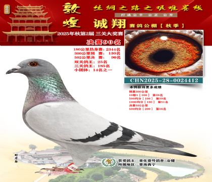 敦煌诚翔决赛90名